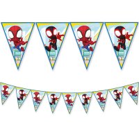 Spidey And His Amazing Friends Triangle Flag Banner