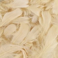 Pampas Feathers 50g