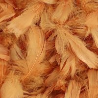 Copper Feathers 50g