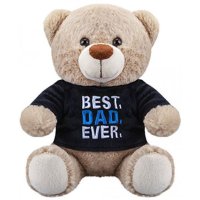 8" Best Dad Plush Bear