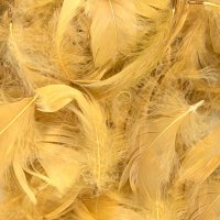 Gold Feathers 50g