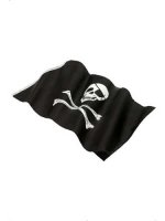 Pirate Skull And Crossbones Flag