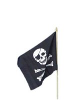 Pirate Flag On Stick