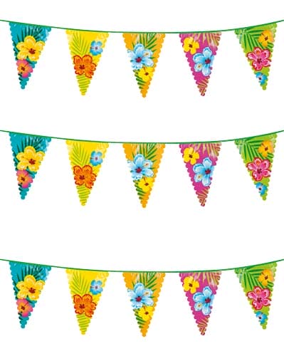 Hibiscus Giant Bunting - Click Image to Close