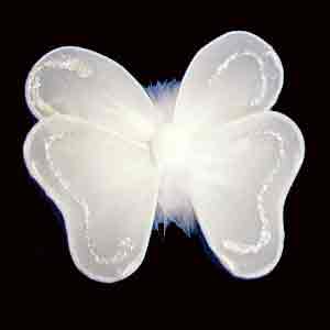 Mini Fairy Wings - Click Image to Close