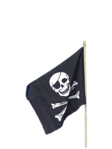 Pirate Flag On Stick - Click Image to Close