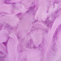 Pastel Lavender Feathers 50g