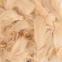 Blush Feathers 50g