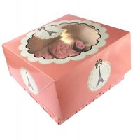 Parisienne Cupcake Boxes x2