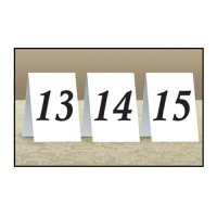 Place Cards 13 to 24