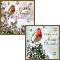 Robin With Snow Christmas Cards 12pk