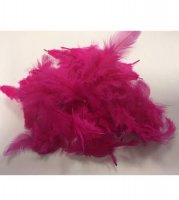 (image for) Hot Pink Feathers