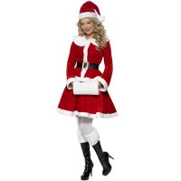 Miss Santa Fancy Dress Costumes