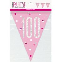 Pink & Silver Glitz Age 100 Flag Banner