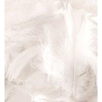 White Feathers 50g