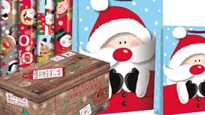 Christmas Gift Bags, Wrap & Boxes