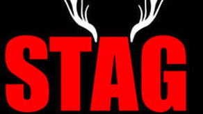 (image for) Stag Night