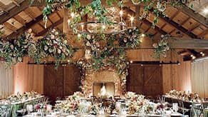 Wedding Decorations & Party Accessories
